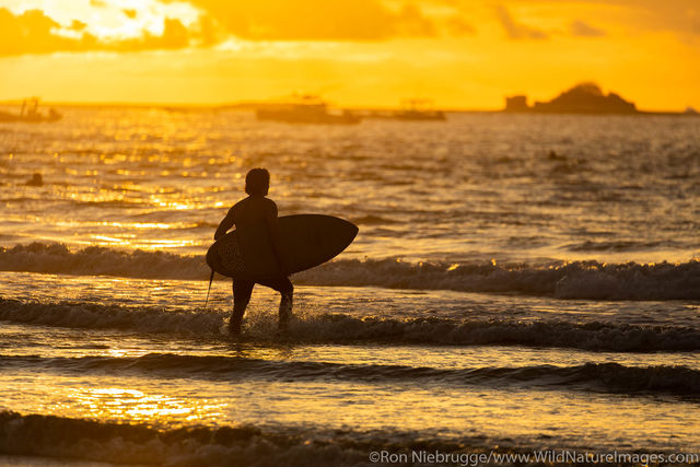 Surfer