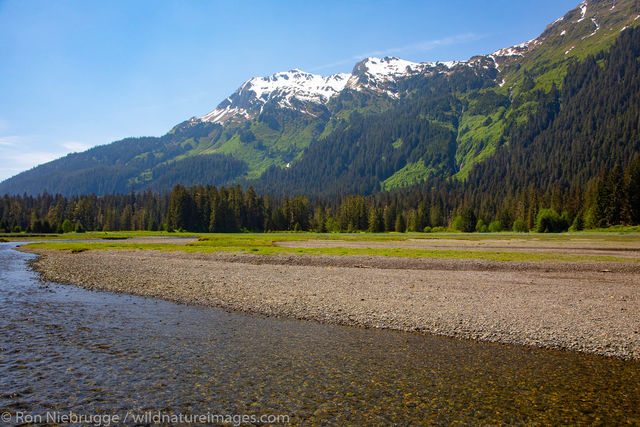 Tongass National Forest