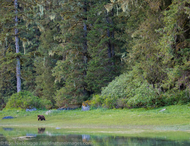 Tongass National Forest