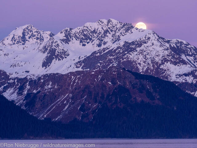 Mt. Alice Moonrise