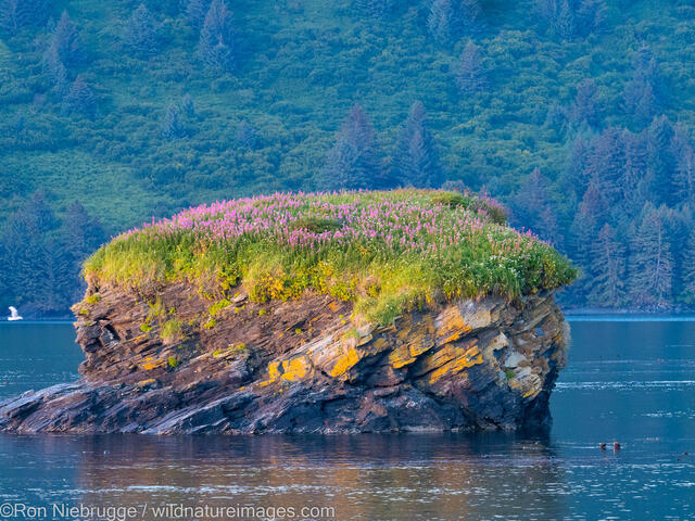 Kodiak Alaska