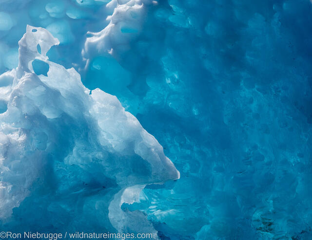 LeConte Glacier