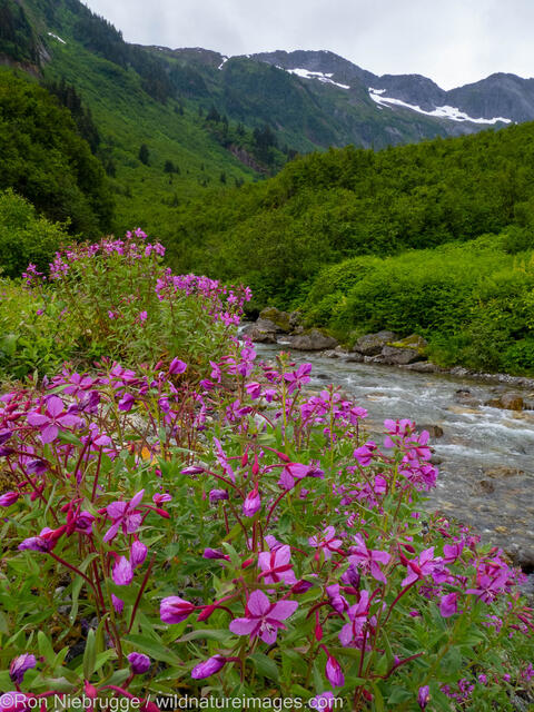 Tongass National Forest