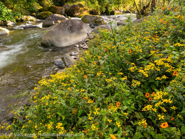 Savegre River, Costa Rica.