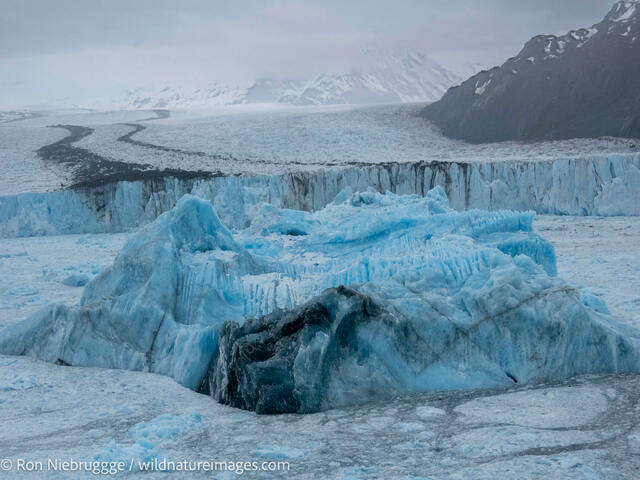 Bear Glacier