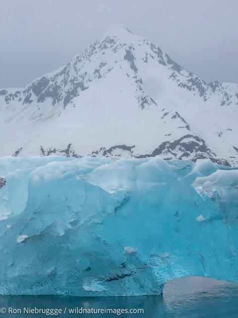 Aialik Glacier