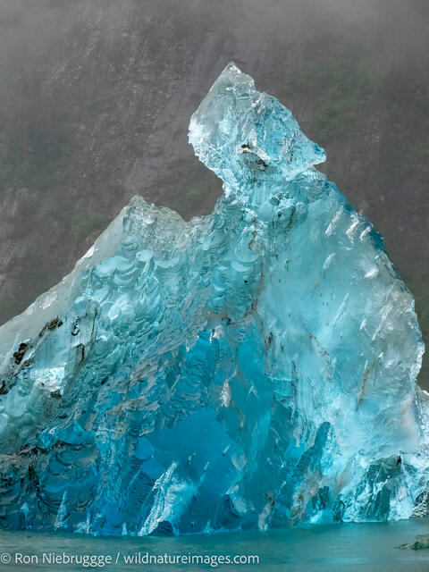 Iceberg