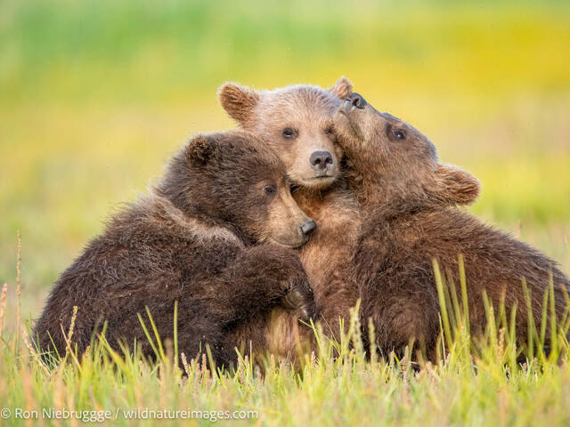 Alaska Photos 