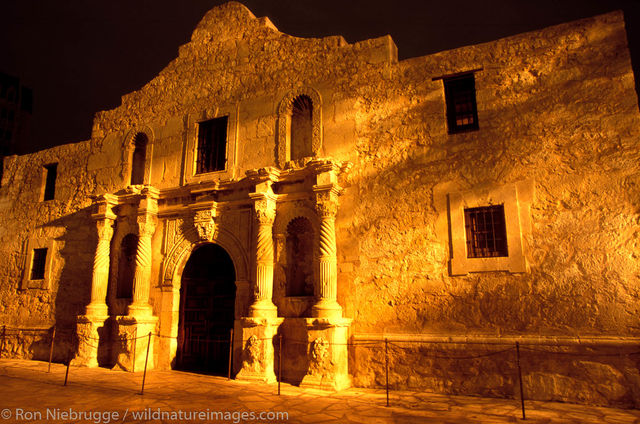 Alamo