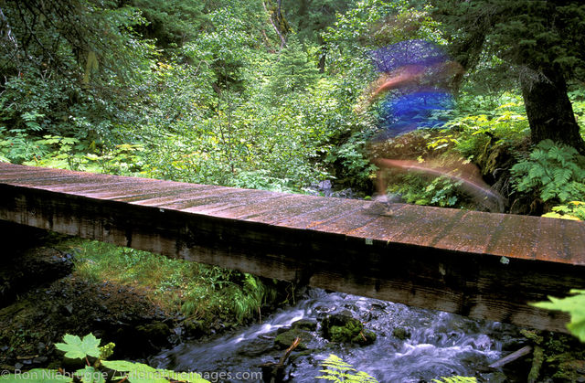 Running Resurrection River Trail