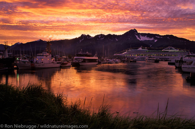 AK, Alaska, Americas, Kenai Peninsula, North America, North American, Ron Niebrugge, United States of America, attraction, attractions...