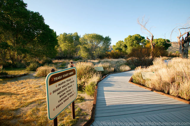 Big Morongo Canyon Preserve