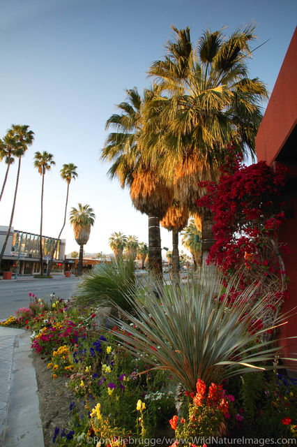 Palm Springs
