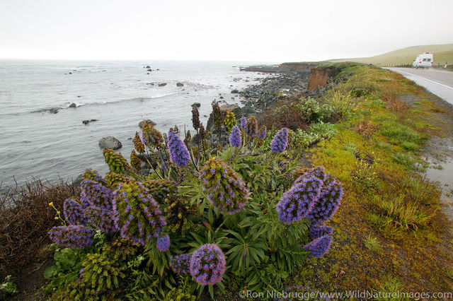 Big Sur Coast