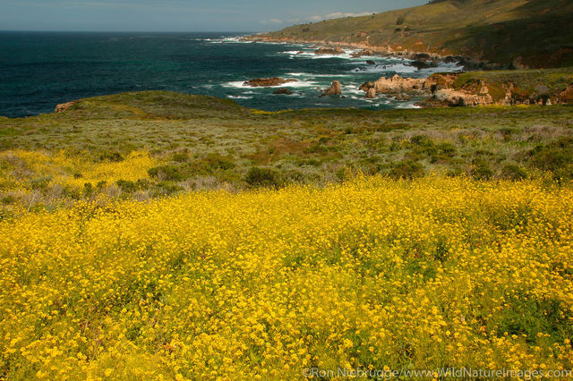 Big Sur Coast