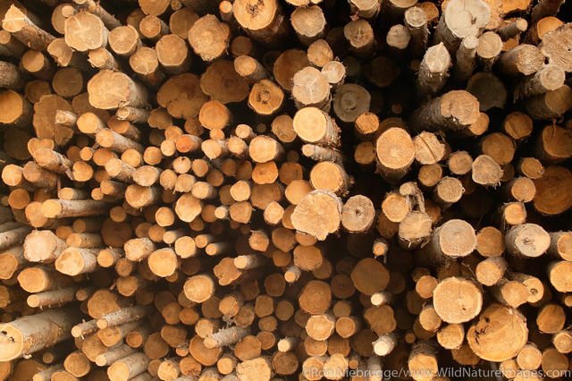 Logging
