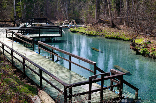 Liard River Hotsprings