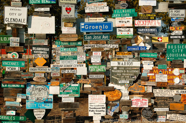Signpost Forest