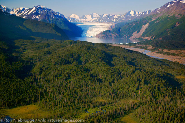 Glacier