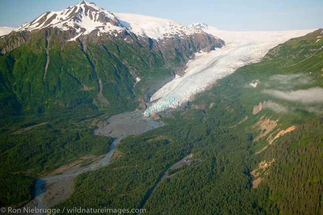 Exit Glacier