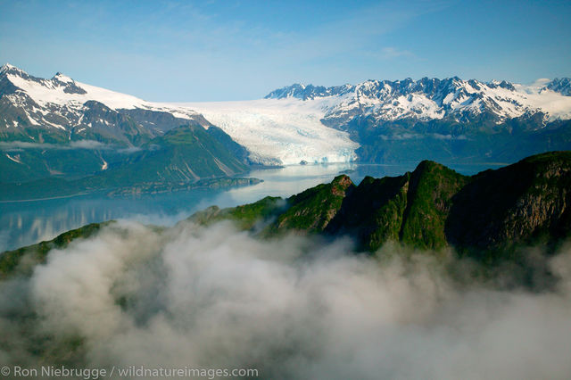 Aialik Glacier