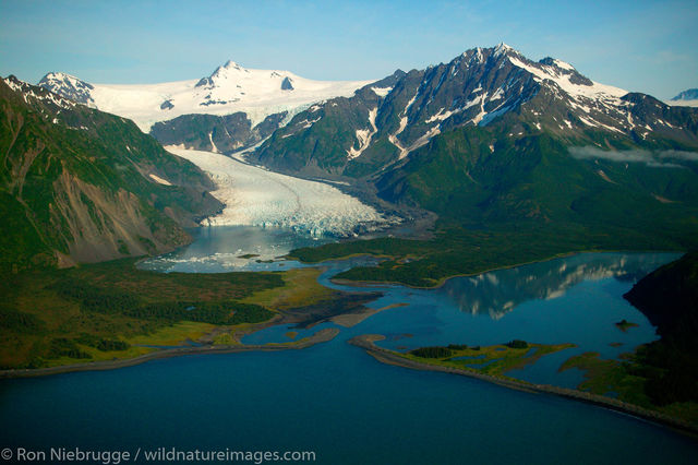 Pederson Glacier