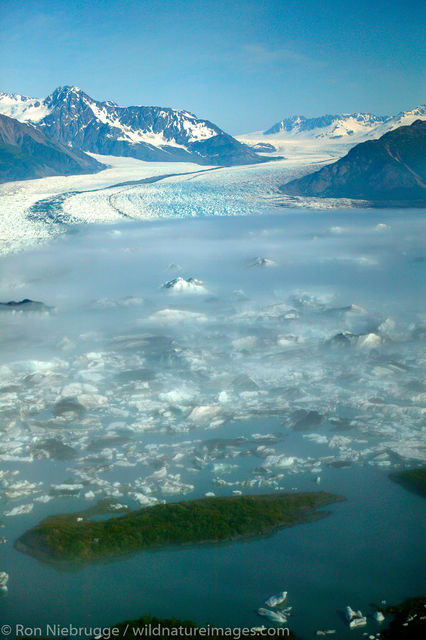 Bear Glacier