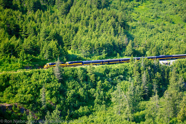 Aerial Alaska Railroad Passenger Train