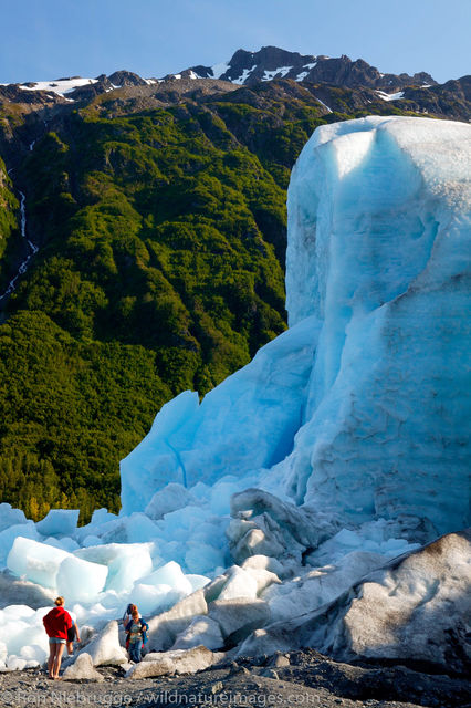 Exit Glacier