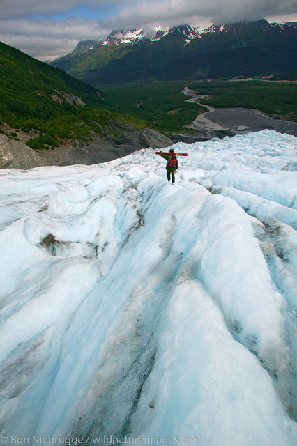 Researcher on Exit Glacier