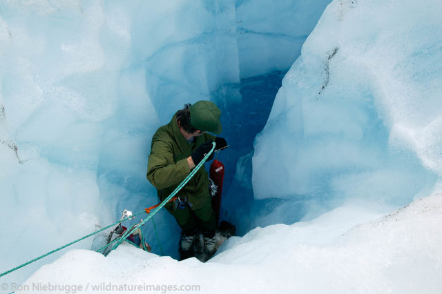 Researcher on Exit Glacier