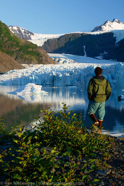 Pederson Glacier