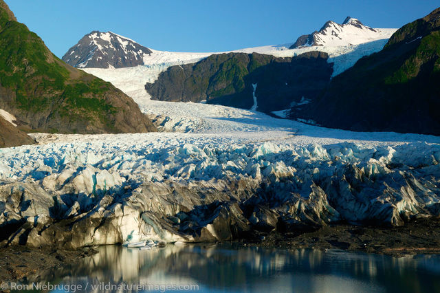 Pederson Glacier