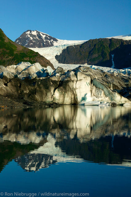 Pederson Glacier