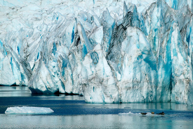 Pederson Glacier