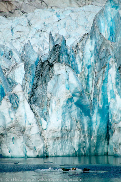 Pederson Glacier