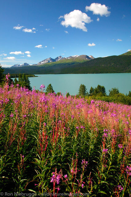 Kenai Lake, Alaska