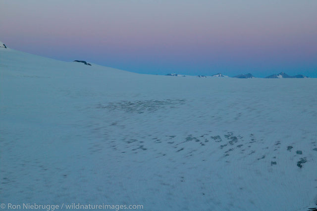 Harding Icefield
