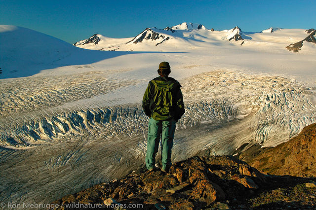Harding Icefield