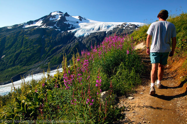 Harding Icefield Trail
