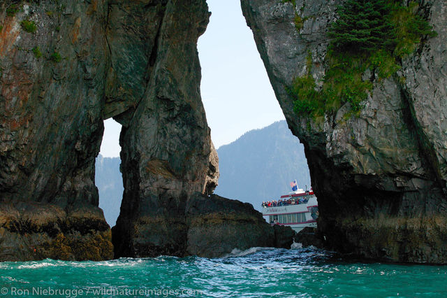 Kenai Fjords