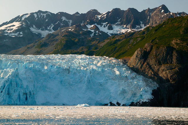 Aialik Glacier 