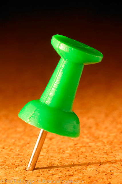 Thumb tack.