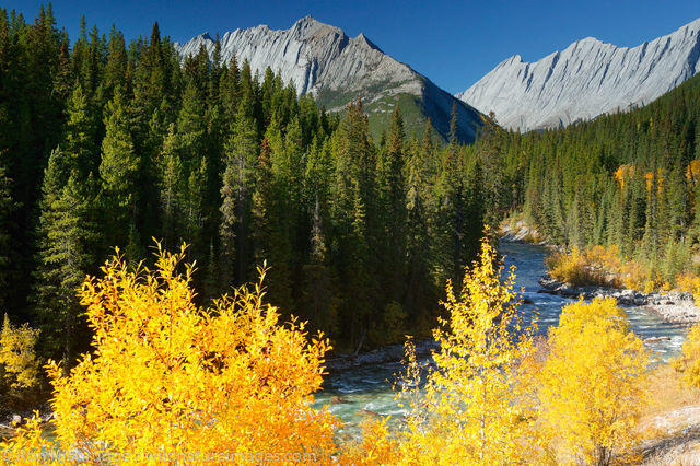 Jasper National Park, Canada