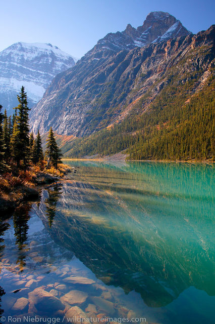 Mt. Edith Cavell and Cavell Lake