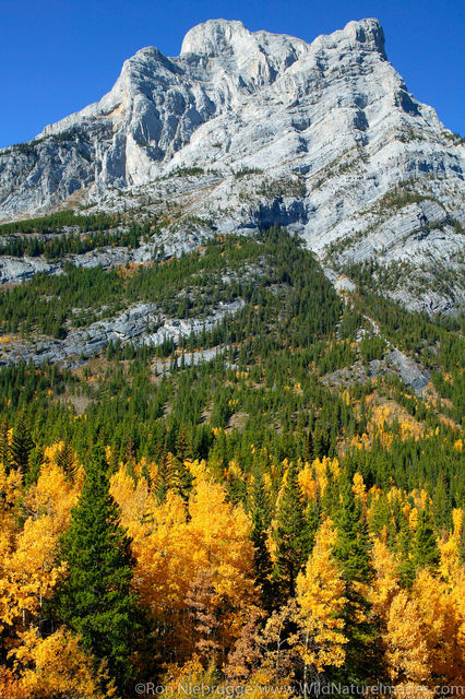 Mount Kidd