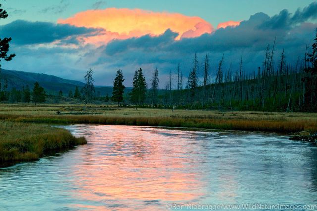 Gibbon River