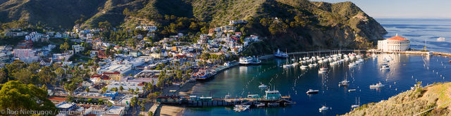 Avalon