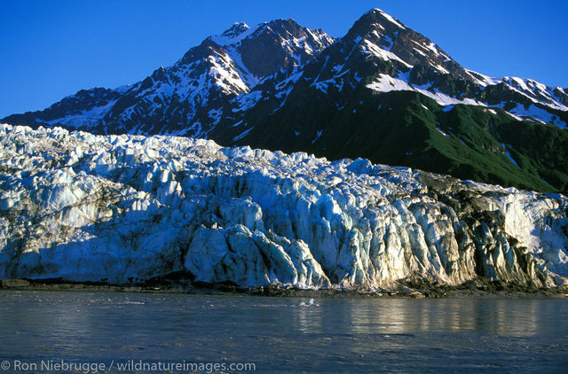 AK, Alaska, Alaskan, Americas, Child's Glacier, Chugach, Chugach National Forest, Copper River, Cordova, National, North America...