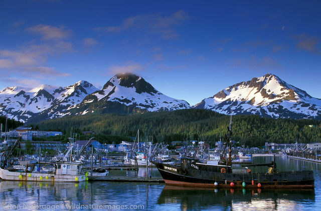AK, Ak., Alaska, Americas, Cordova, North America, North American, Ocean, Oceans, Pacific Ocean, Ron Niebrugge, U.S., United...